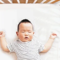 The Peanutshell Not So Basic Elephant 4-Pack Crib Fitted Sheet Set In Grey/White 15 The Peanutshell Not So Basic Elephant 4-Pack Crib Fitted Sheet Set In Grey/White -Baby Products Store GUEST 052902fa fbc6 4be9 b733 390bd4eaae77