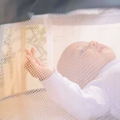 Bright Starts Disney Baby Winnie The Pooh Soothing Baby Bassinet - Slumber Party -Baby Products Store GUEST 1a668770 99c0 4a74 a007 2fa3c4c493ce