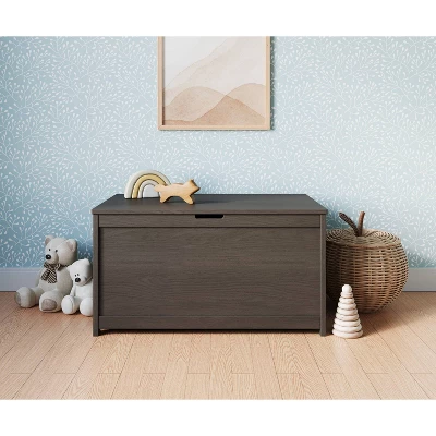 Child Craft Harmony 33" Kids' Toy Box/Storage Chest By Forever Eclectic 1 Child Craft Harmony 33" Kids' Toy Box/Storage Chest By Forever Eclectic
