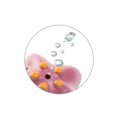 Plantoys| Sea Life Bath Set -Baby Products Store GUEST 4c30beb0 8d92 4060 a861 f5897cef0192