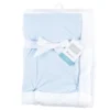 Hudson Baby Infant Boy Plush Blanket With Faux Shearling Back, Light Blue White, One Size