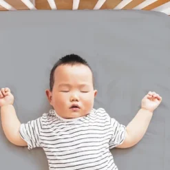 The Peanutshell Dino 4-Pack Crib Fitted Sheet Set In Blue/Grey/White -Baby Products Store GUEST 576beb3d 7d57 42fd b1cb 8ef62f7953ea