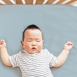 The Peanutshell Dino 4-Pack Crib Fitted Sheet Set In Blue/Grey/White -Baby Products Store GUEST 892b9185 4d7b 4b57 943e 92fcbc6445be