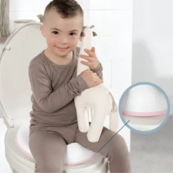 JOOL BABY PRODUCTS Toilet Training Seat - Pink -Baby Products Store GUEST a16c9fc1 9ddc 4e1e a39e d2149301d766